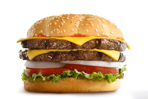 Double Cheese Burger Sandwich